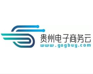 贵州电子商务云运营有限责任公司 实业投资的新篇章